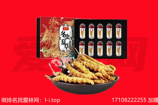 桓台县回收虫草.jpg